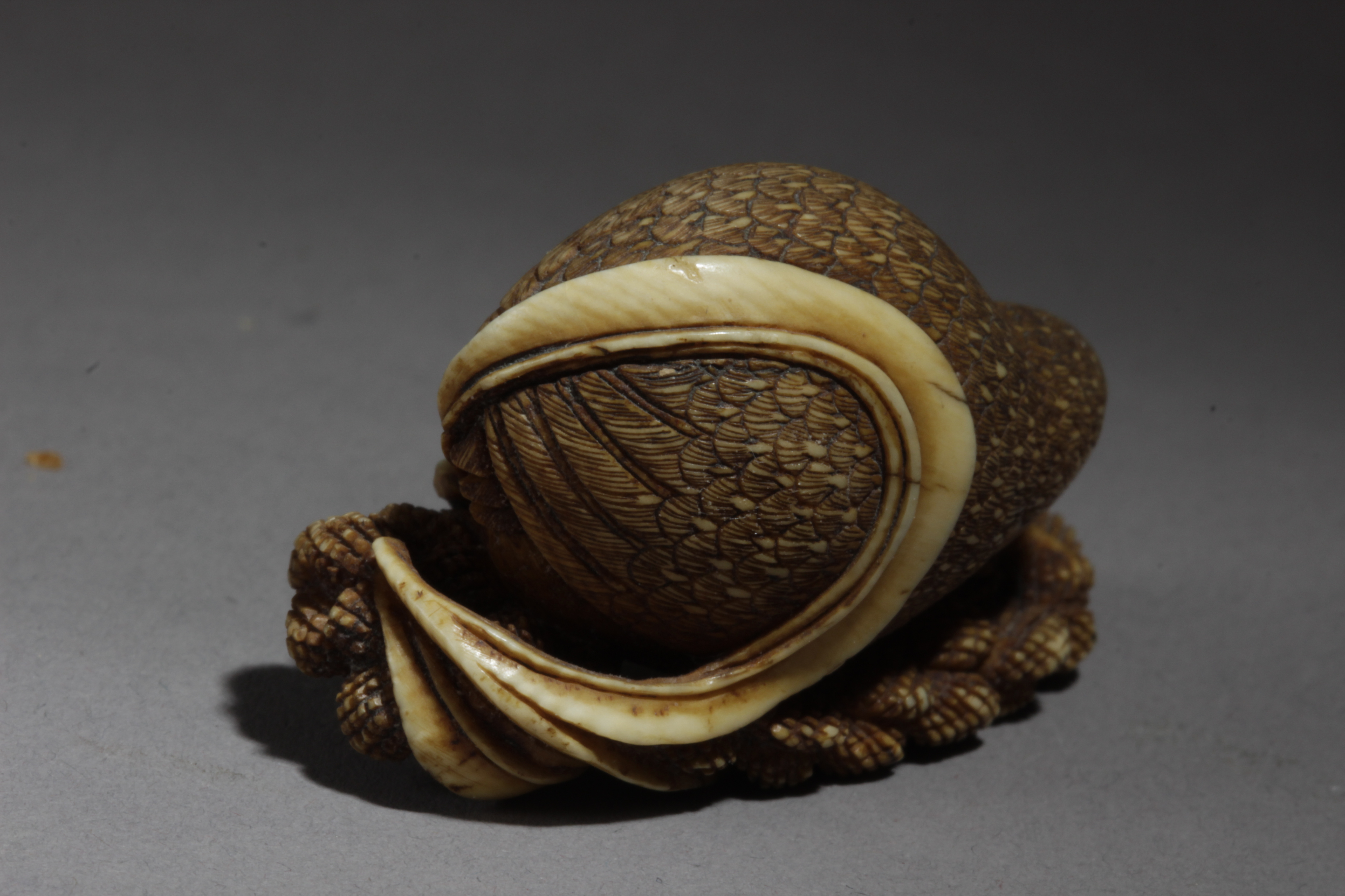 A mid 19th century Japanese netsuke from Edo period - Image 3 of 3