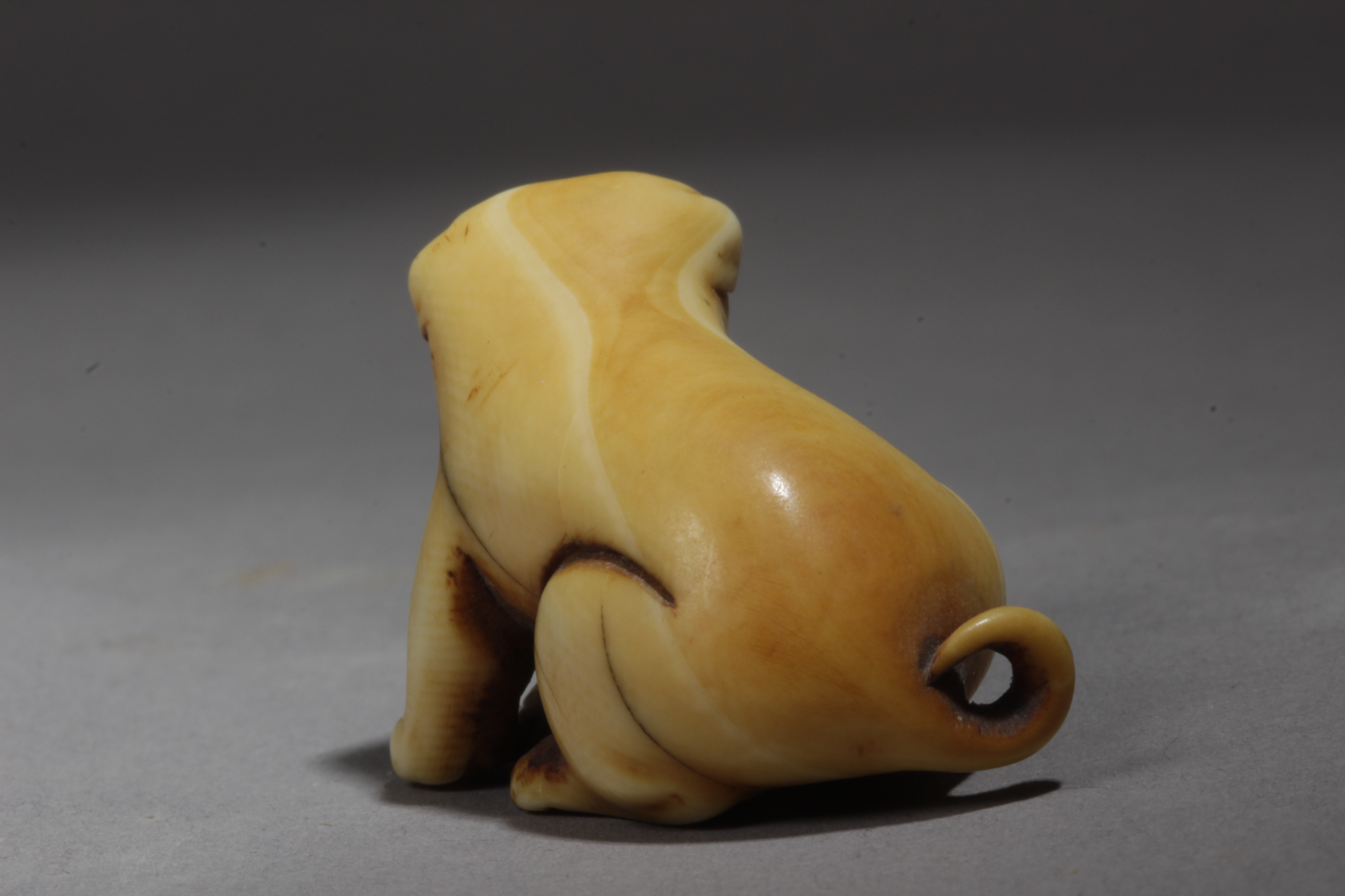 An early 19th century Japanese netsuke from Edo period - Image 4 of 5