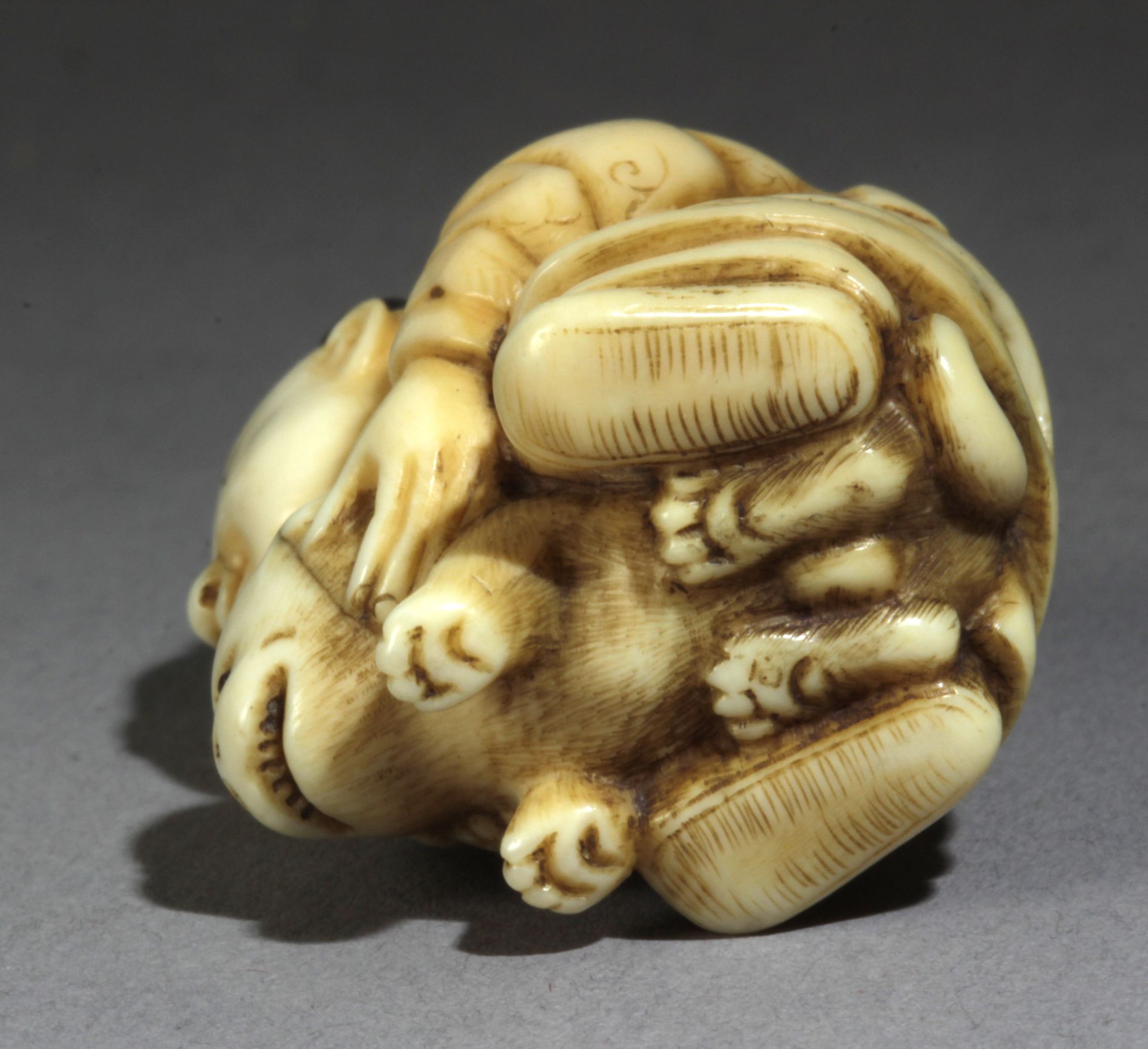 An early 19th century Japanese netsuke from Edo period - Image 7 of 7