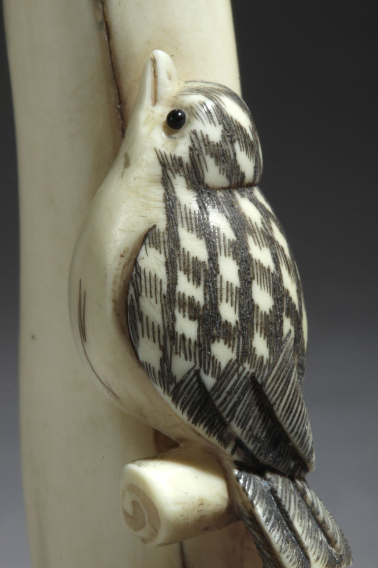 A Japanese netsuke circa 1975-2000 from period Showa-Hesei - Bild 3 aus 7