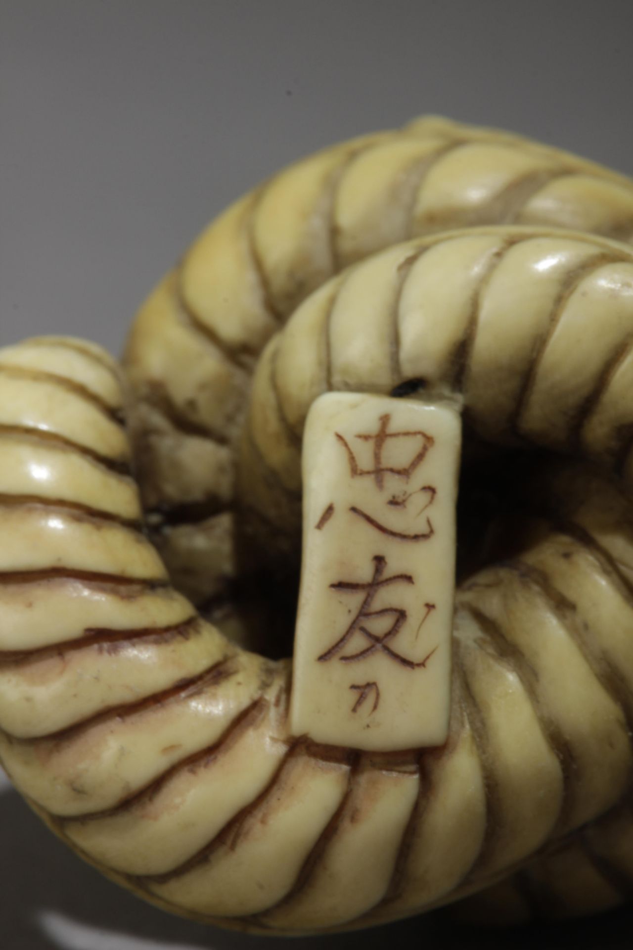 A 20th century Japanese netsuke from Meiji or Showa period. Signed Tadatomo? - Bild 7 aus 7