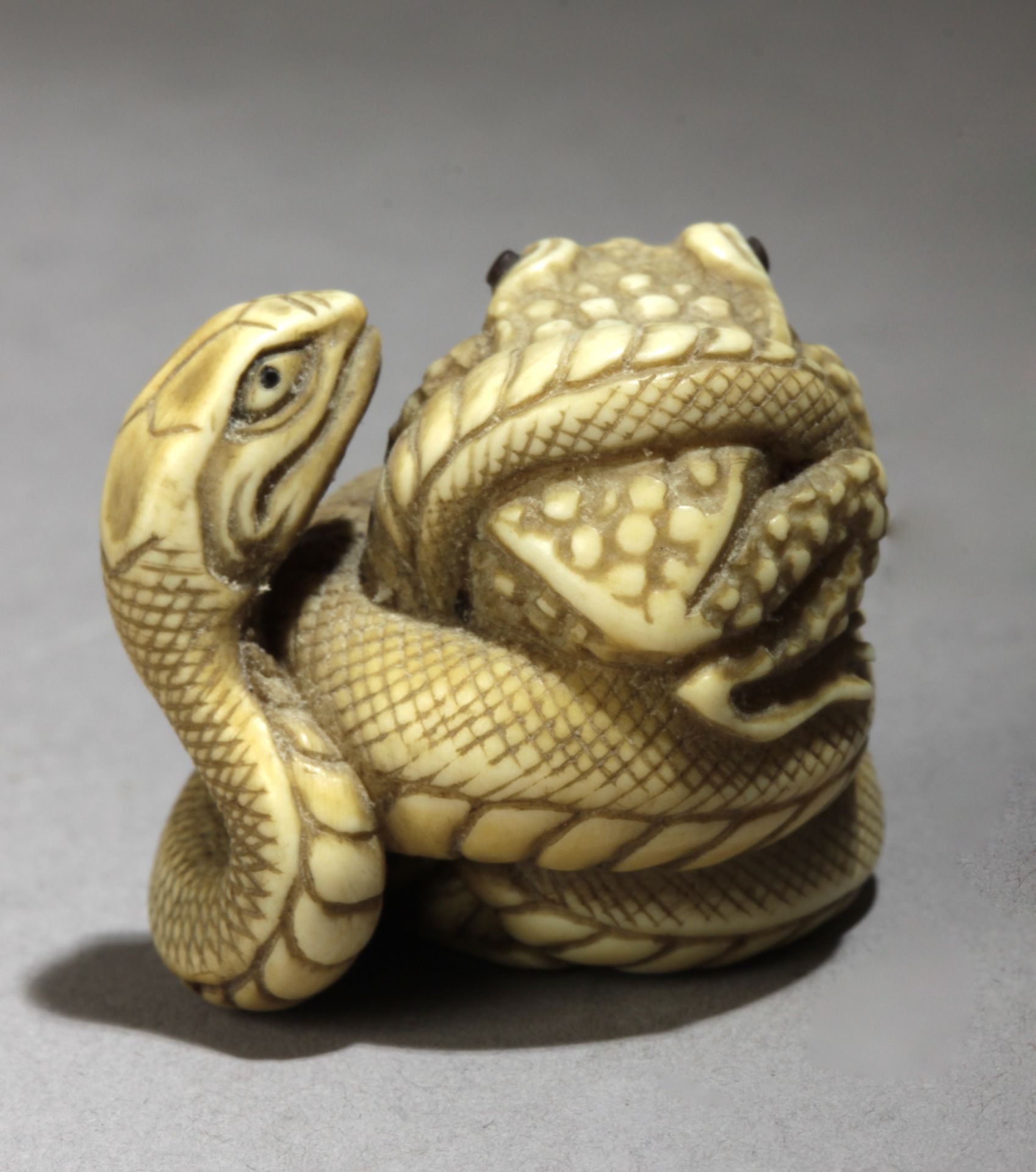 A 20th century Japanese netsuke from Meiji or Showa period. Signed Tadatomo? - Bild 4 aus 7