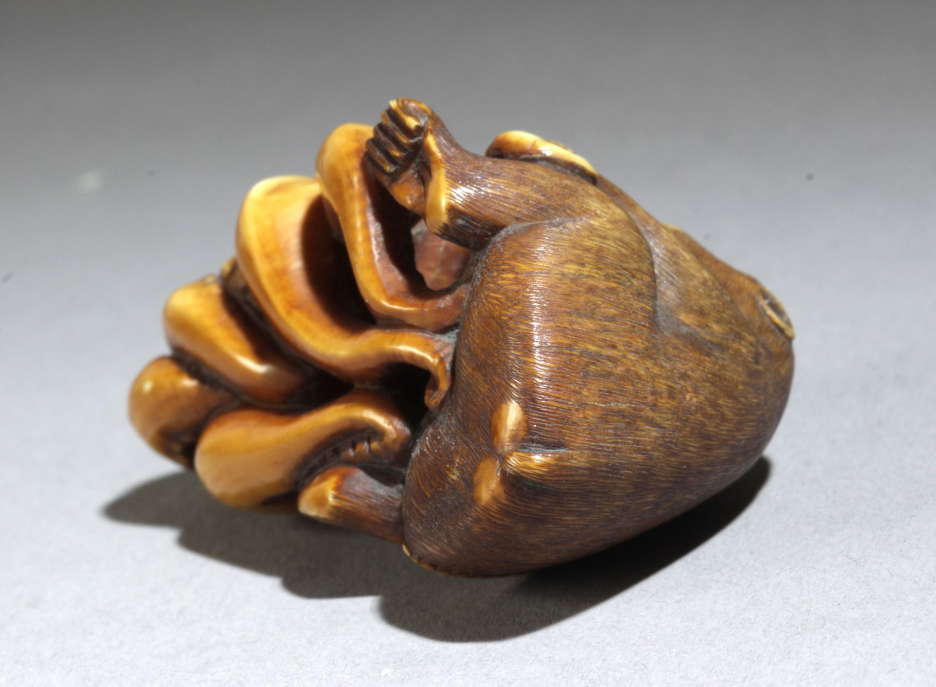 A late 19th century Japanese netsuke from Meiji period - Bild 6 aus 6