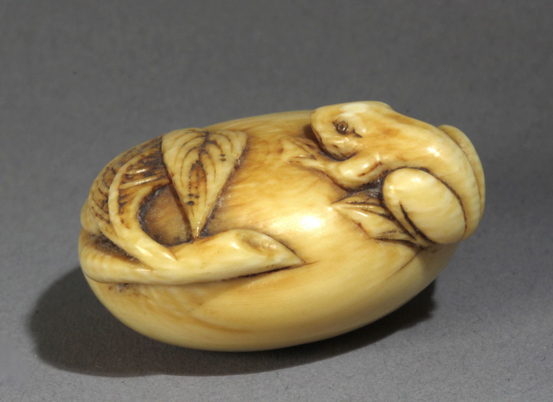 An early 19th century Japanese netsuke from Edo period - Bild 2 aus 6