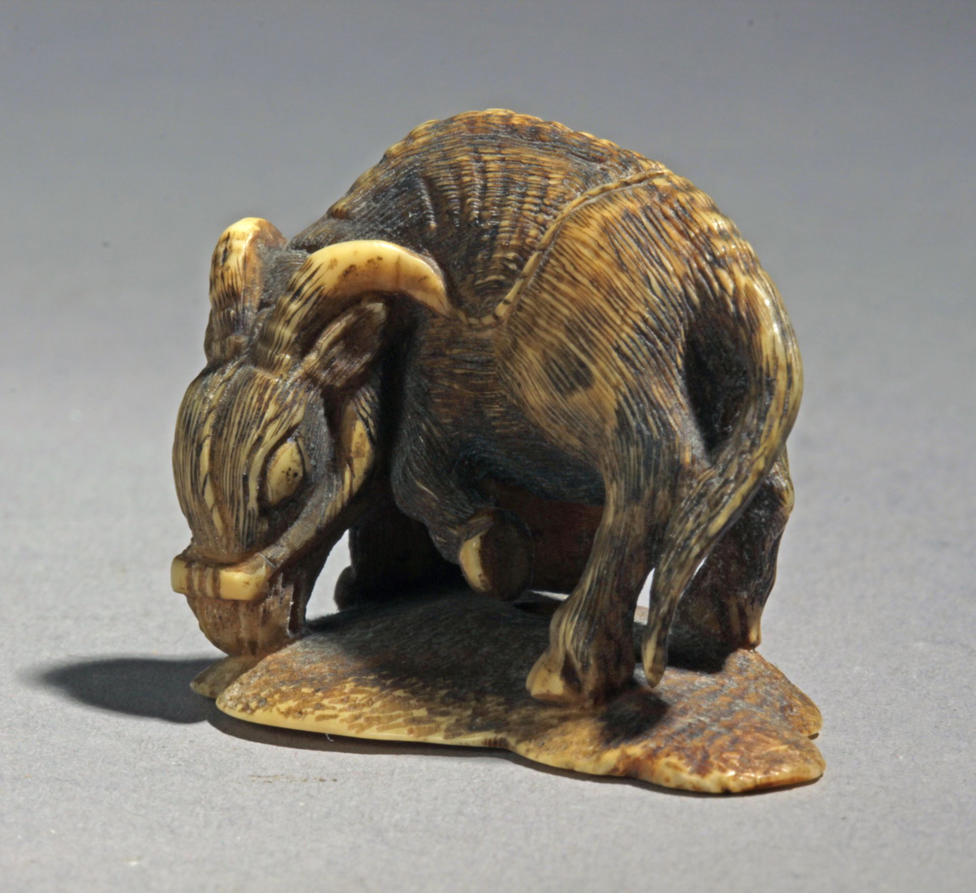 A 19th century Japanese netsuke from Meiji period. Signed Mitsuhiro - Bild 5 aus 7