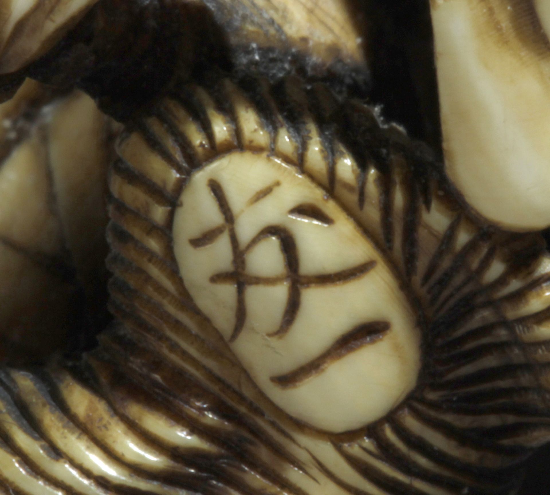 A mid 19th century Japanese netsuke from Edo period. Signed Tomokazu - Bild 7 aus 7