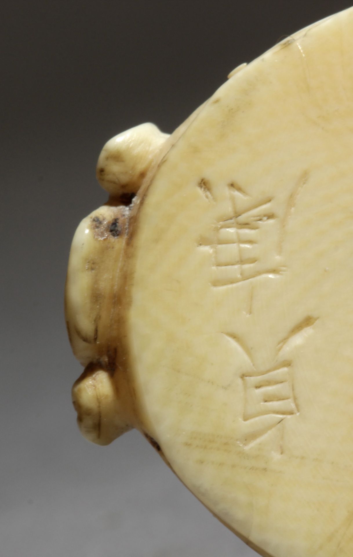 A late 19th century Japanese netsuke from Meiji period. Signed - Image 7 of 7