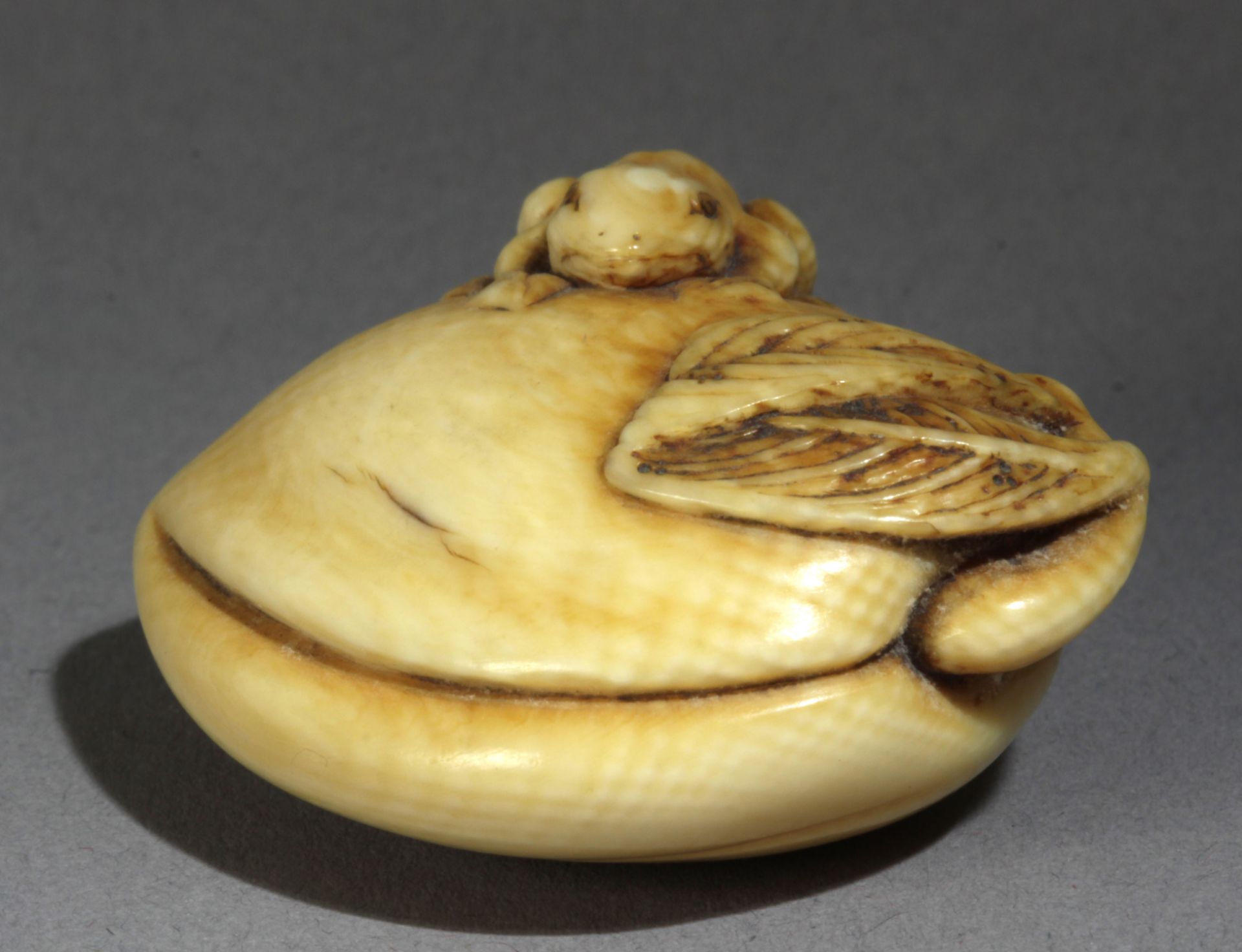 An early 19th century Japanese netsuke from Edo period - Image 4 of 6