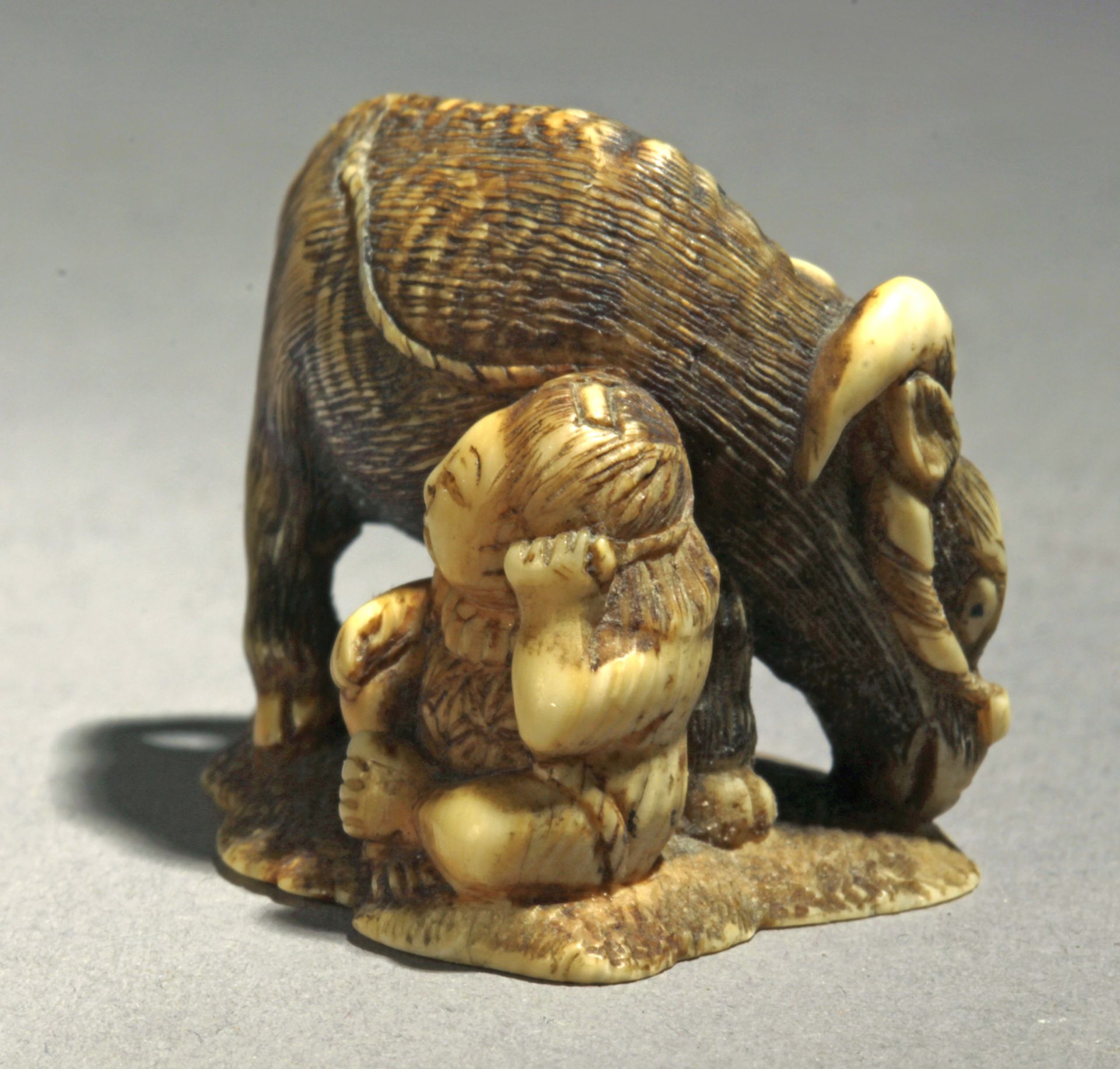 A 19th century Japanese netsuke from Meiji period. Signed Mitsuhiro