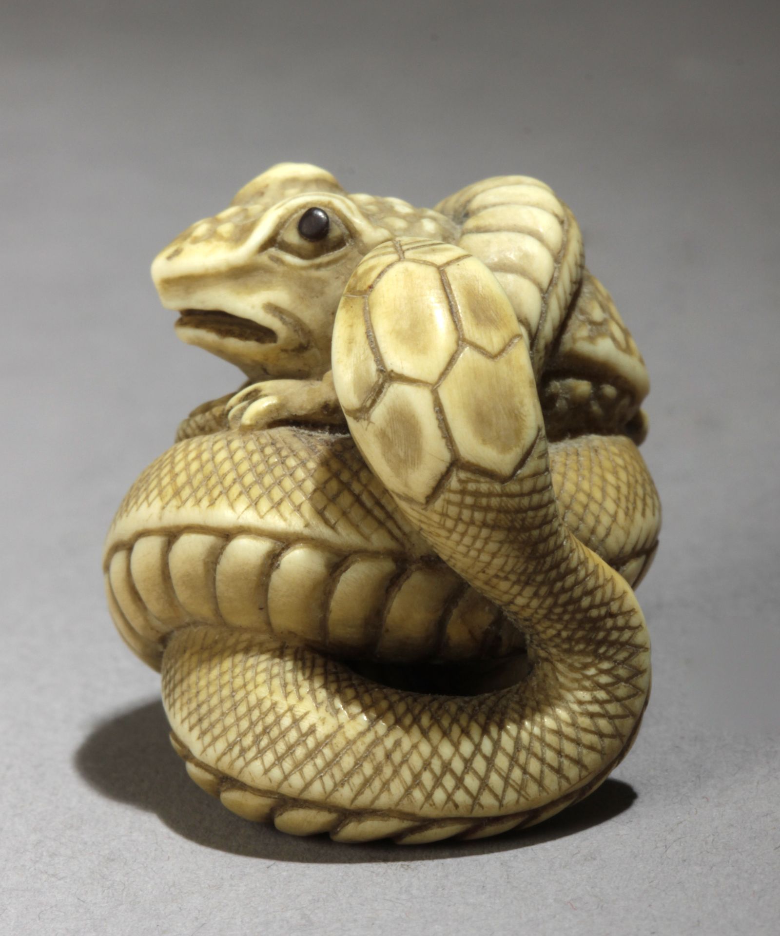 A 20th century Japanese netsuke from Meiji or Showa period. Signed Tadatomo? - Bild 5 aus 7