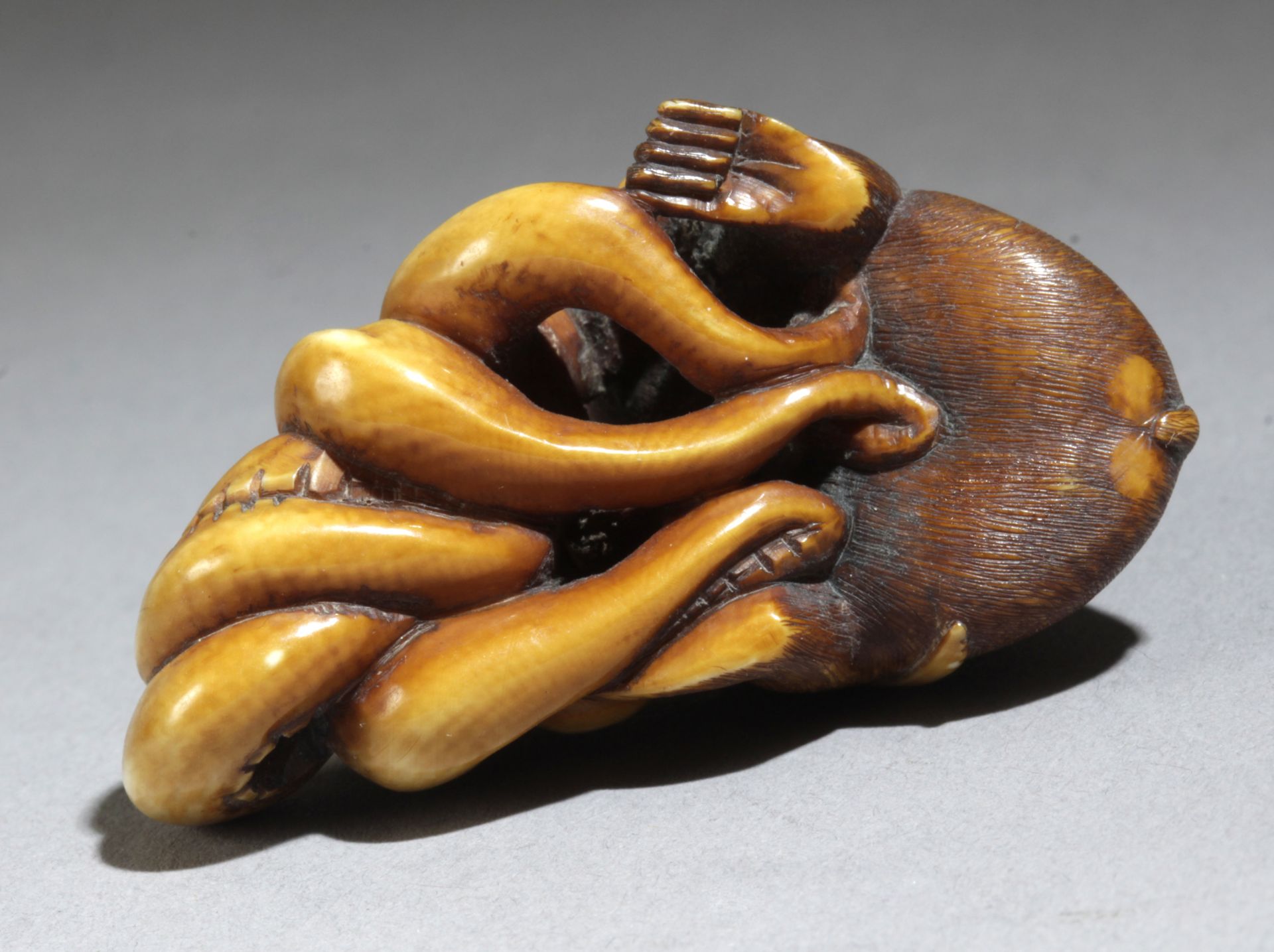 A late 19th century Japanese netsuke from Meiji period - Bild 5 aus 6