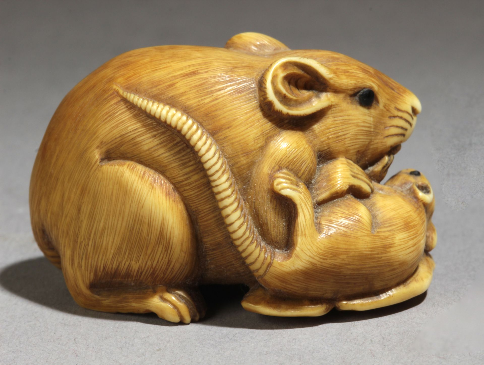 A 19th century Japanese netsuke from Meiji period. Signed Kosai - Bild 3 aus 6