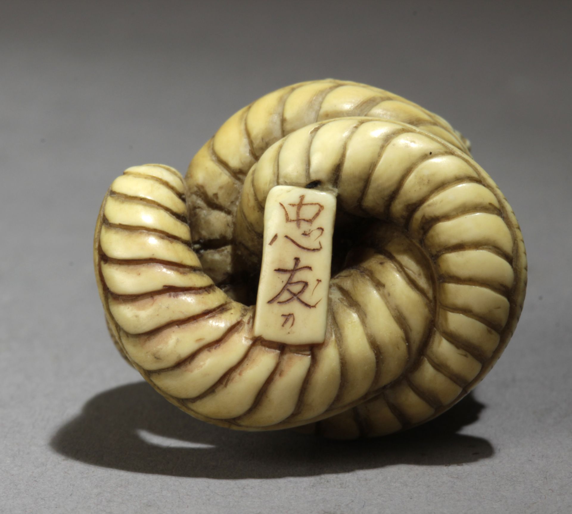 A 20th century Japanese netsuke from Meiji or Showa period. Signed Tadatomo? - Bild 6 aus 7