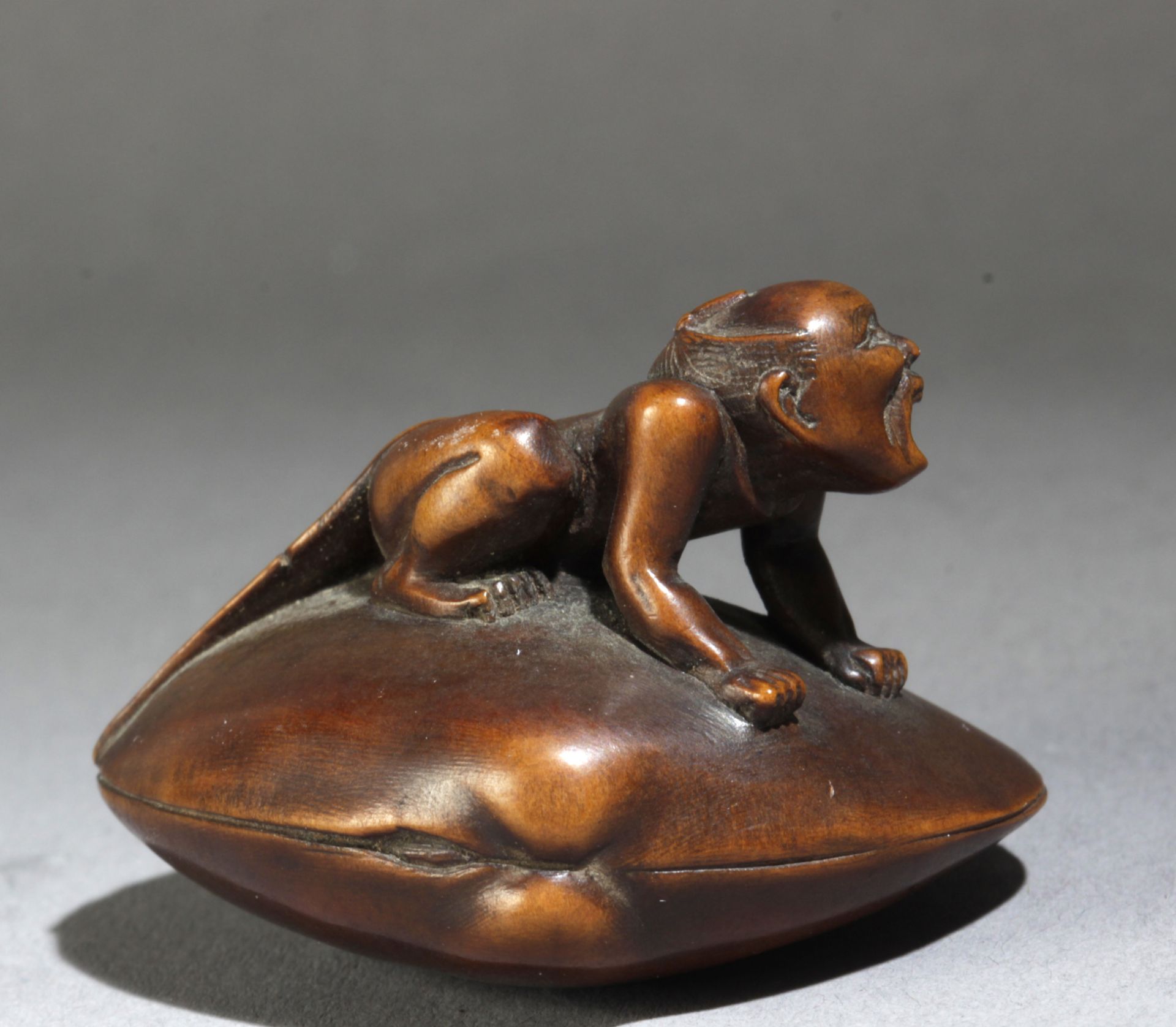 A mid 19th century Japanese netsuke from Meiji period - Image 4 of 7