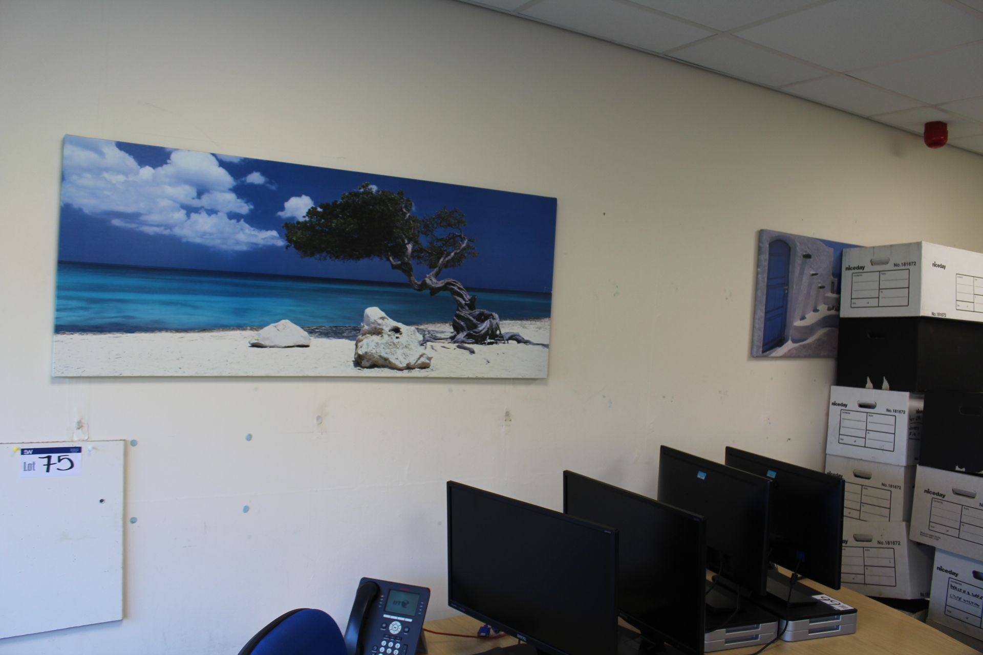 Three Printed Canvasses, as set out around office