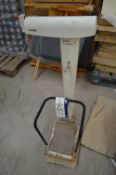 Avery 3306 ABV Scales, 120kg cap