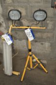 Two Head Site Lamps, 110V