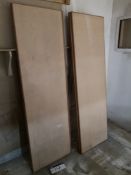 Pair of Fire Doors (LOT LOCATED AT 8 WHITEHOUSE ST