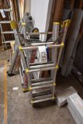 Folding Alloy Extension Ladder