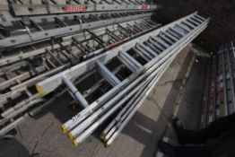 Triple Alloy Extension Ladder