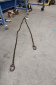 Two Leg Lifting Chain, (one 2.3m and one 2.9m)