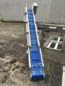 Plastic Intralox Type Belt Elevator, with flights, approx. 300mm wide belt x 3100mm long, £50 lift