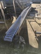 Anglia Autoflow Intralox Type Conveyor Belt, with