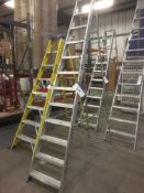 Pinnacle Alloy Stepladder (12 tread)