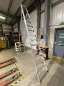 Lyte 12 Rise Alloy Stepladder  Lot located at Unit C1 Trident Business Park, Daten Avenue, Risley,