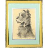 Antique Pastel Portrait of a Terrier, Signed