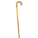 Antique Polished Horn Handled Cane w/ Gold Band