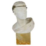 Marble Bust of Classical Male Figure