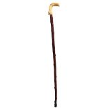 Antique Cane w/ Carved Dog's Head on Handle