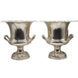 Silver Plated Double Handled Urns