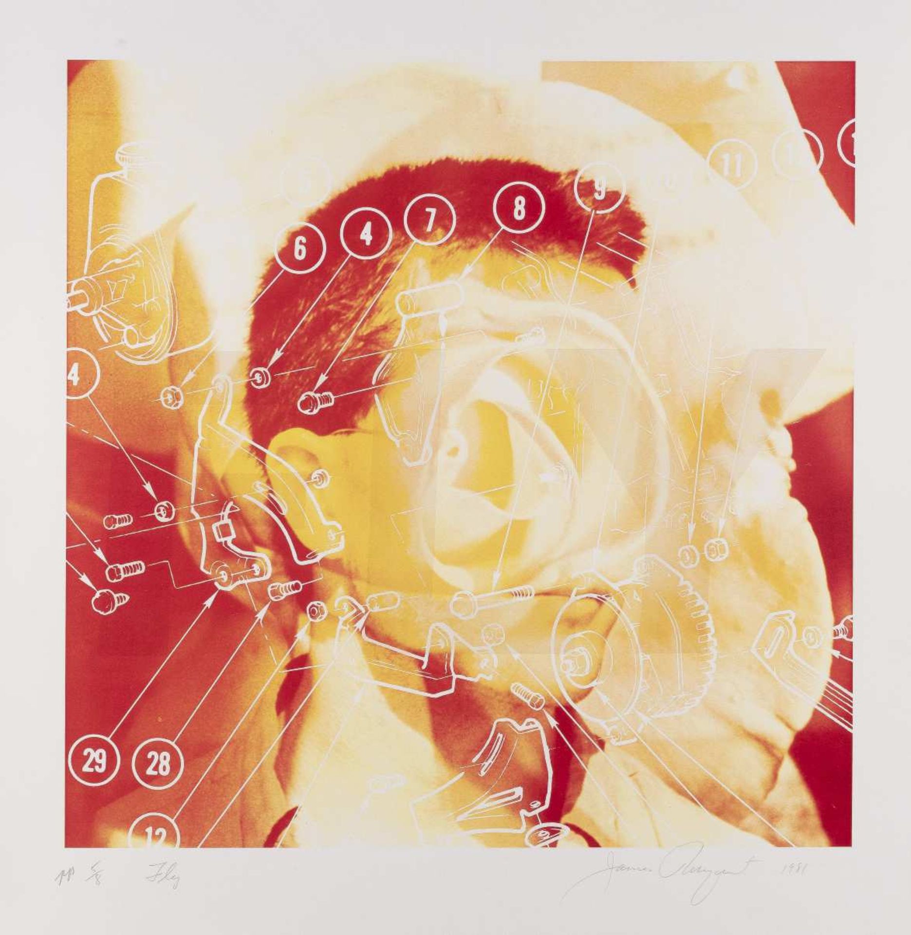 JAMES ROSENQUIST (1933-2017)