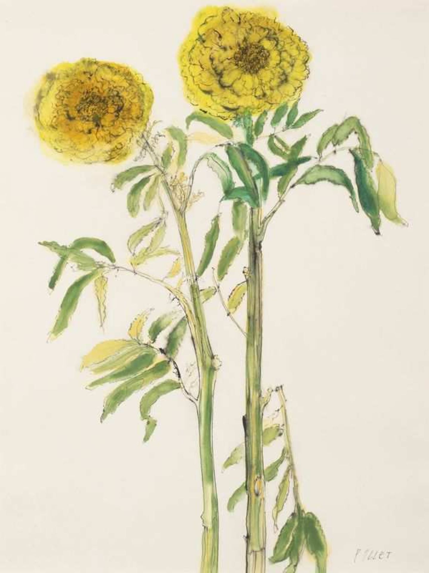 JEAN POLLET (né en 1929) Fleurs jaunes Aquarelle sur papier. Signée en bas à droite Waterverf op