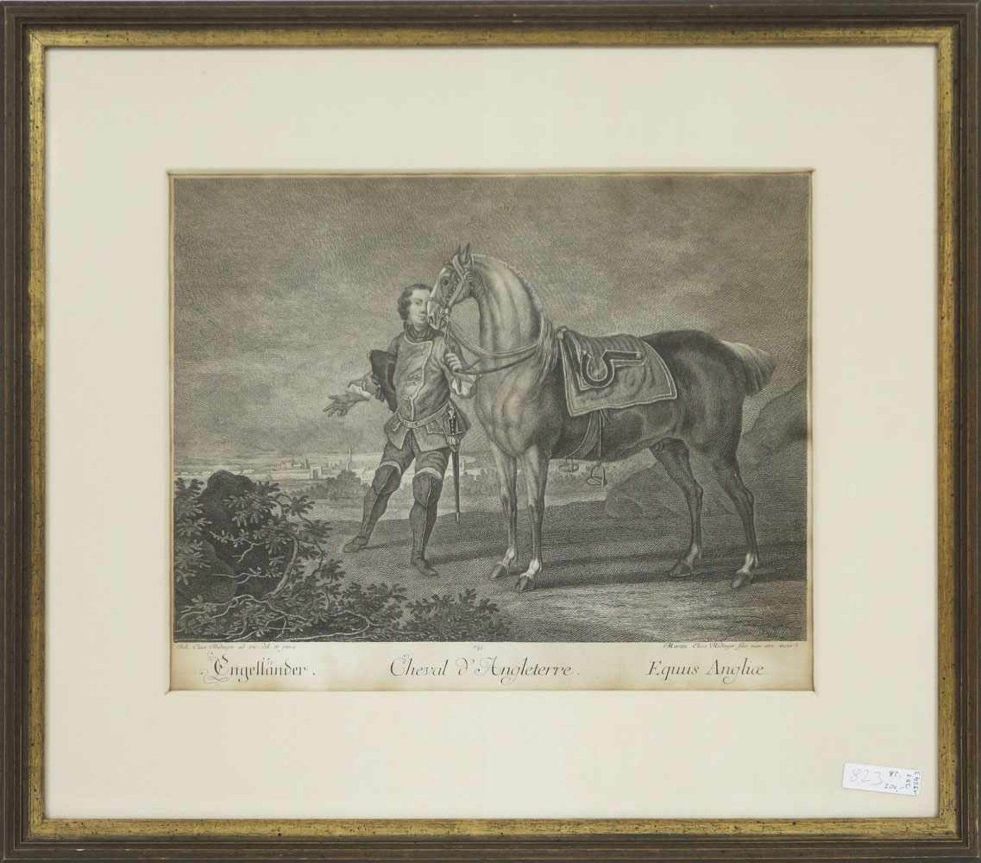 Ridinger, Johann Elias1698 Ulm - 1767 AugsburgSchwedisches Pferd / EngländerZwei Radierungen. BA: - Bild 3 aus 3