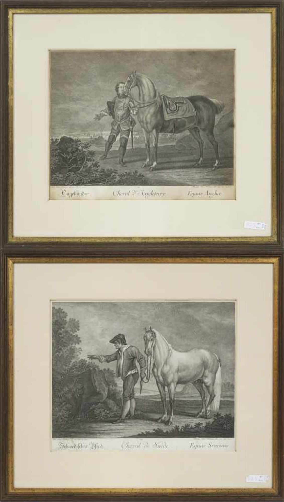 Ridinger, Johann Elias1698 Ulm - 1767 AugsburgSchwedisches Pferd / EngländerZwei Radierungen. BA: