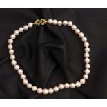 Pearl necklace