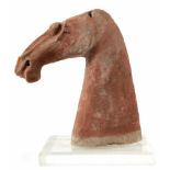 Horse Head