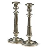 Pair of elegant candlesticks /