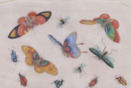 Seidenmalerei mit SchmetterlingenWohl JapanSchmetterlinge und Insekten. Gouache/Seide. Sichtmaße