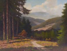 Richter, WalterBlick auf den Brocken im Harz(Moosheim 1913-1989) Öl/Lwd. Rechts unten sign. 60 x