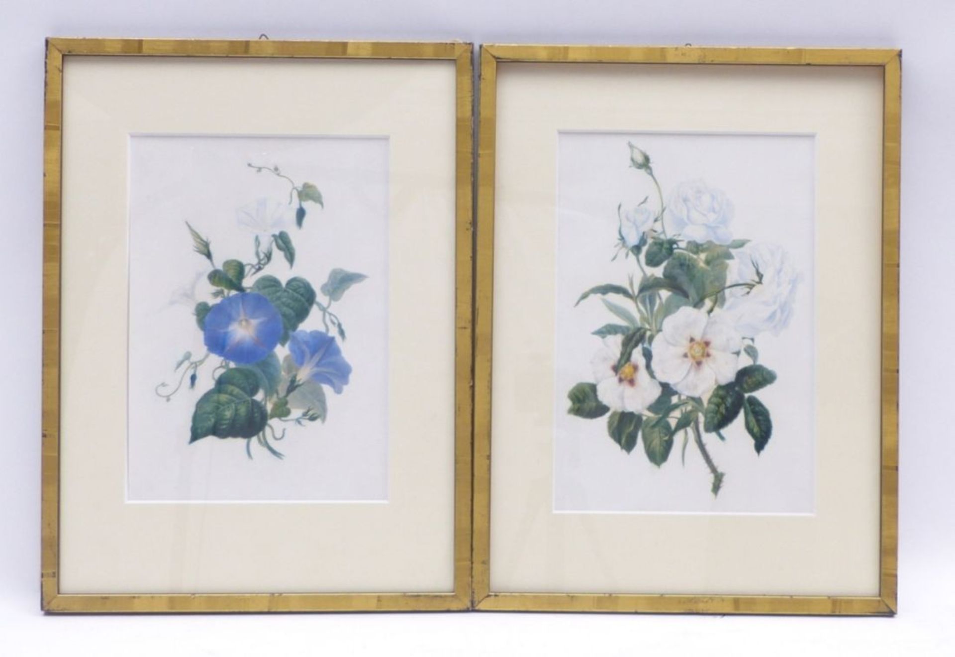 Zwei BlumenbilderEnglische Schule des 19./20. Jh.Weiße Heckenrose und violette Ackerwinde. Aquarell. - Bild 2 aus 2