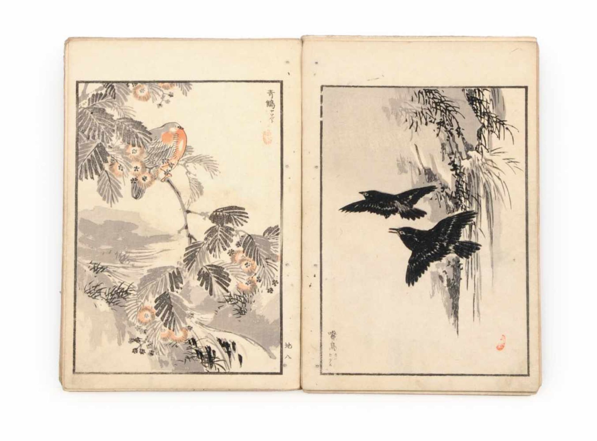 Kono Naotoyo Bairei (Yasuda Naoto) "Bairei hyakuchô gafu" ("Baireis 100 Vogelbilder-Album"). 1881/ - Bild 4 aus 11