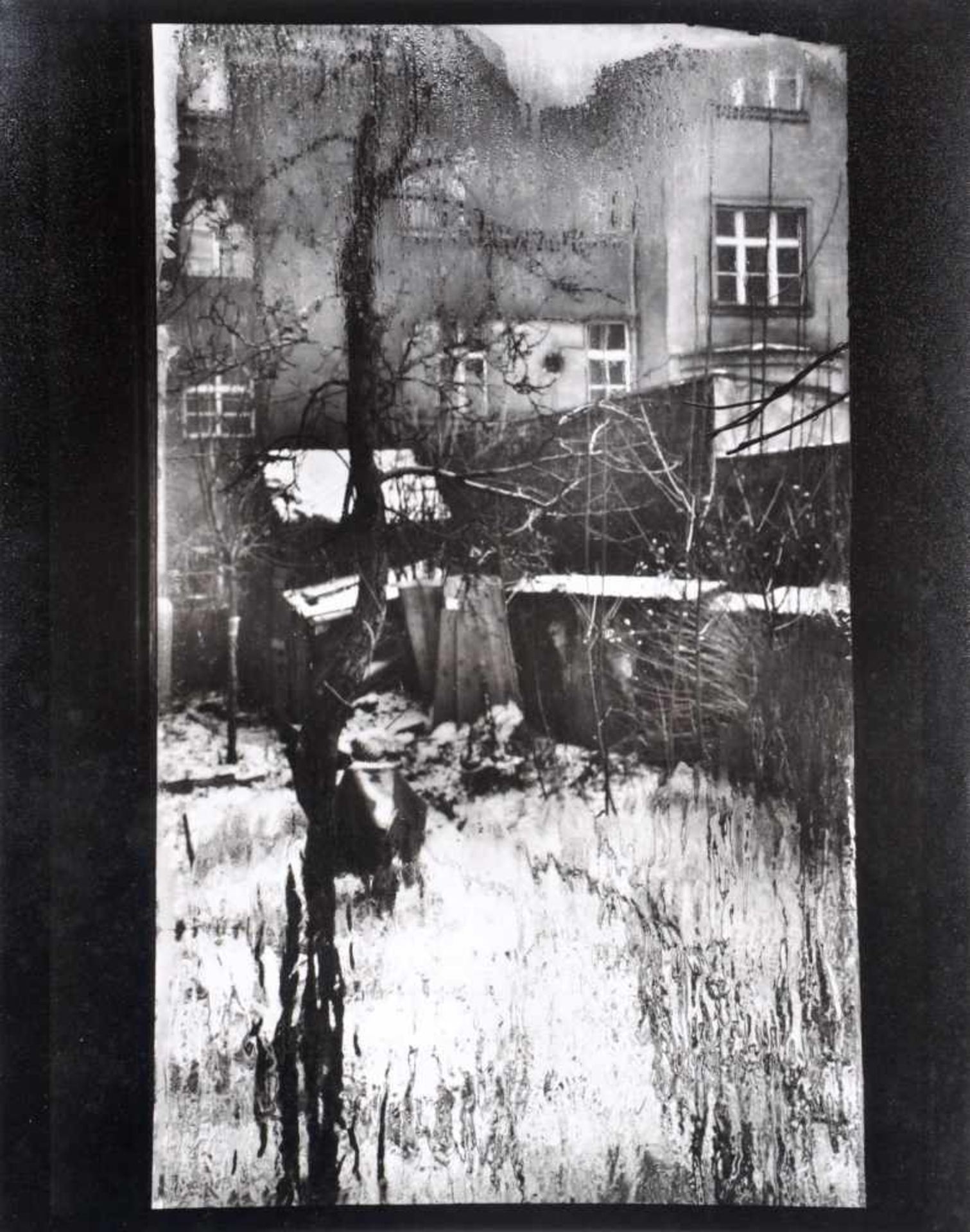 Josef Sudek, Aus dem Zyklus "Die Fenster meines Ateliers". 1954.
