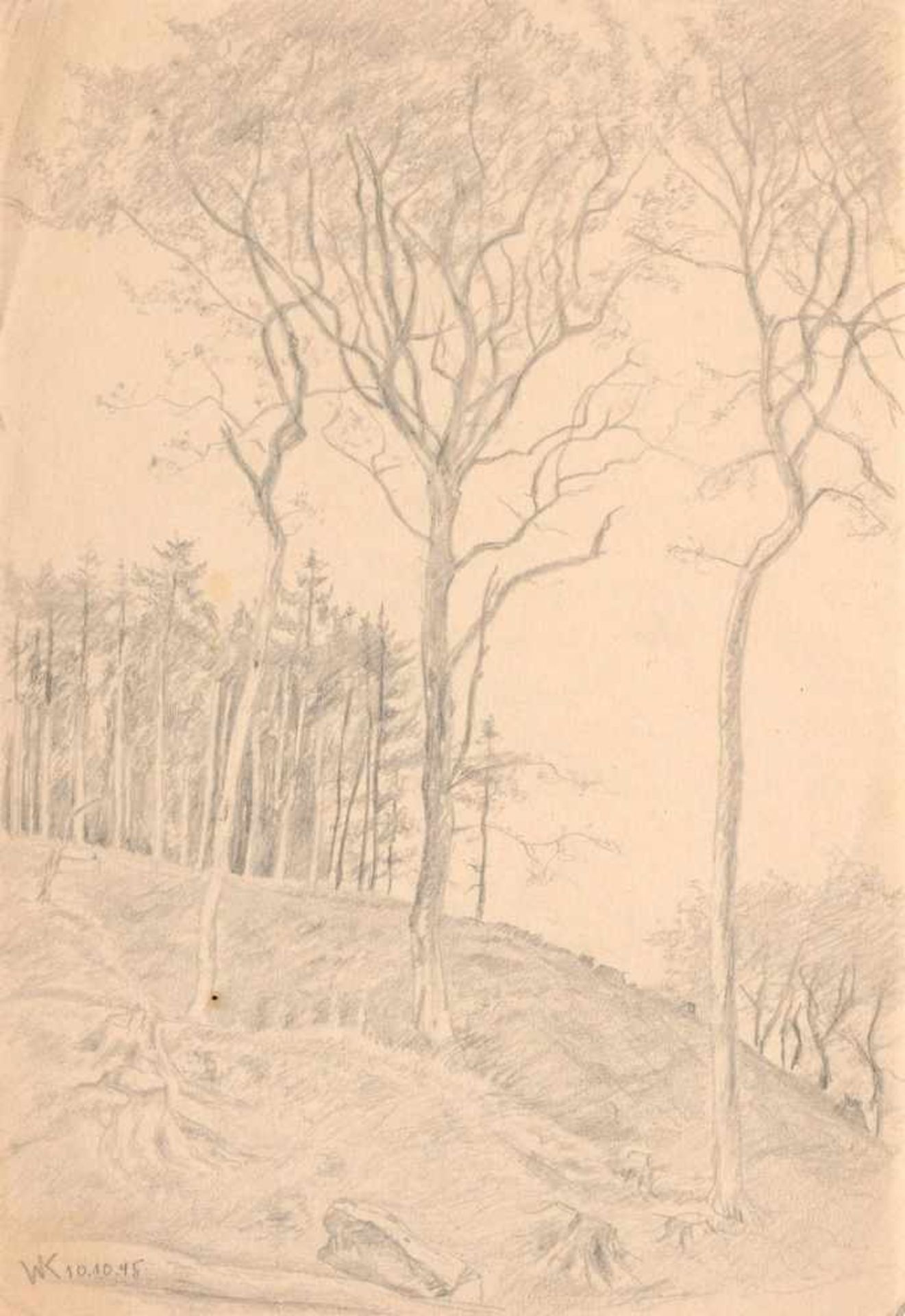 Walther Klemm, Zehn Landschaftsdarstellungen mit Wäldern, Wiesen und Ebenen. 1940's.< - Bild 9 aus 10