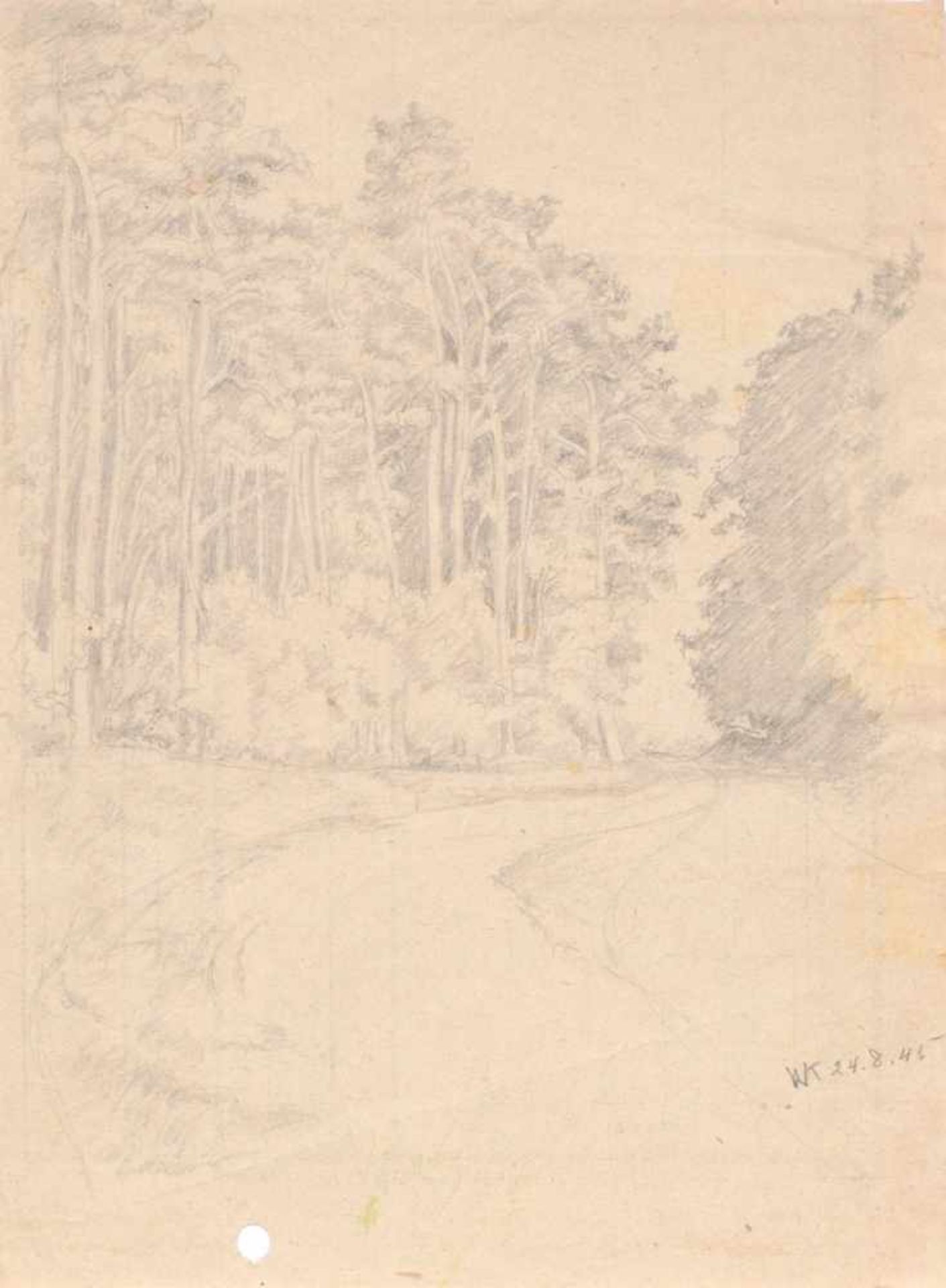 Walther Klemm, Zehn Landschaftsdarstellungen mit Wäldern, Wiesen und Ebenen. 1940's.< - Bild 5 aus 10