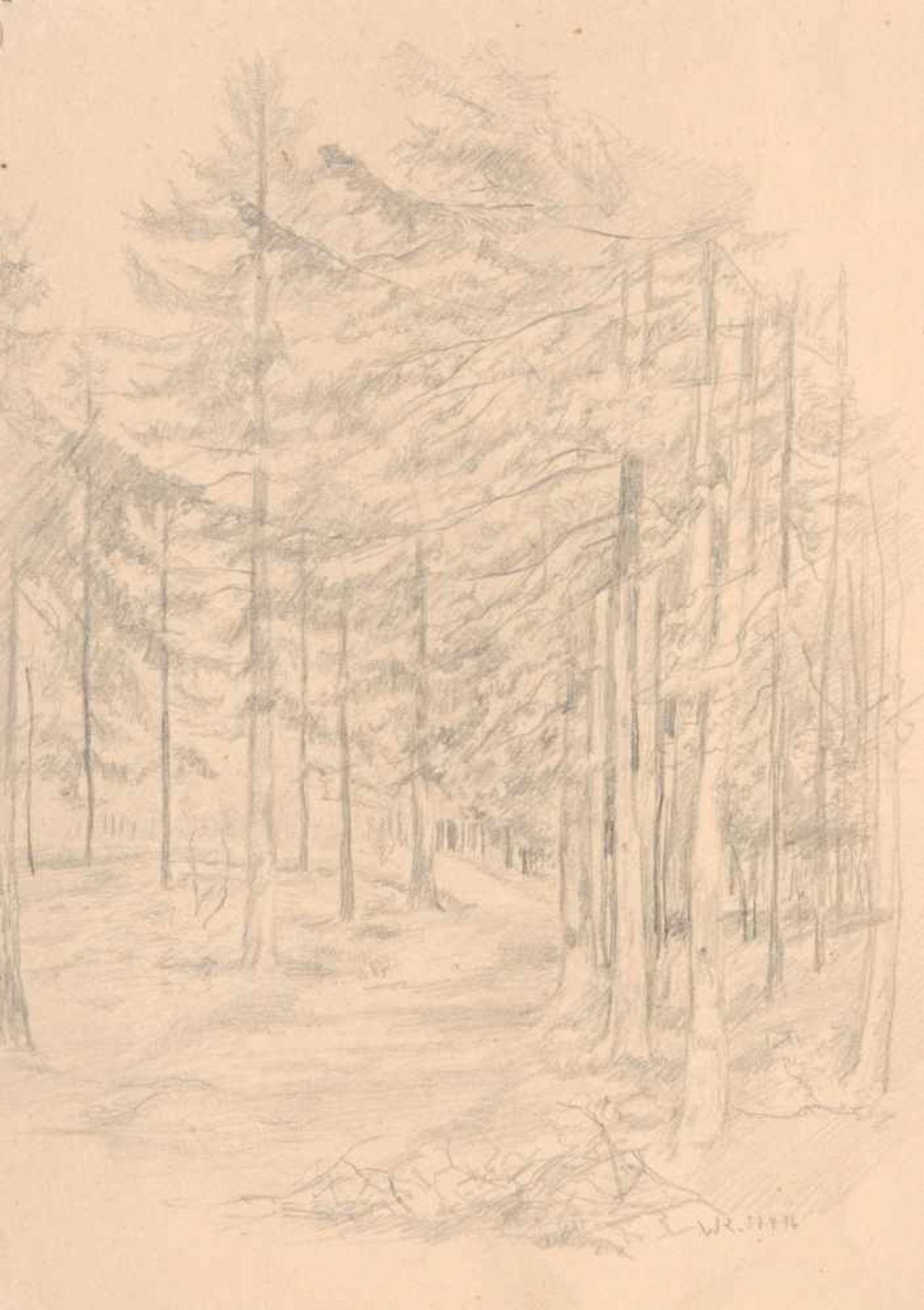 Walther Klemm, Zehn Landschaftsdarstellungen mit Wäldern, Wiesen und Ebenen. 1940's.< - Bild 3 aus 10