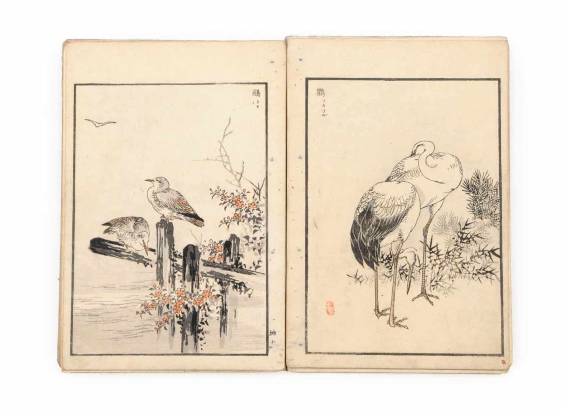 Kono Naotoyo Bairei (Yasuda Naoto) "Bairei hyakuchô gafu" ("Baireis 100 Vogelbilder-Album"). 1881/ - Bild 3 aus 11